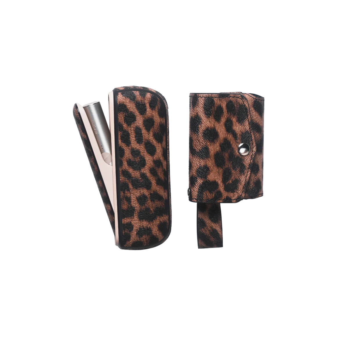 Leopard Print Case & Pouch Set
