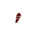 Lebanon Map Hug Pin