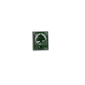 Lebanese Pin